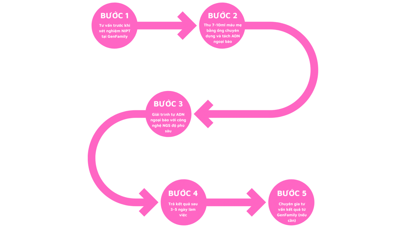 quy trình xét nghiệm nipt tại Genfamily