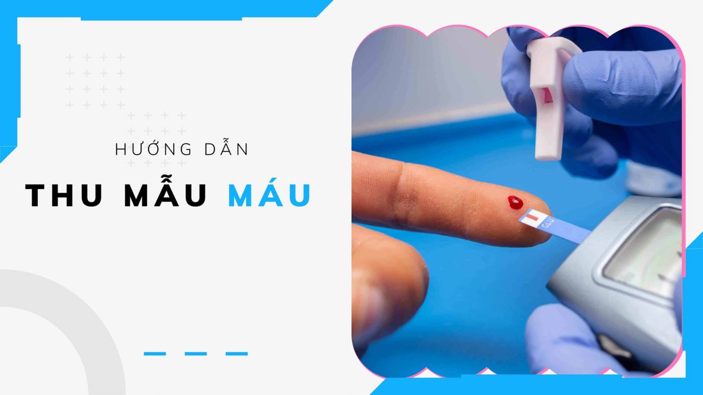 Thu mẫu máu