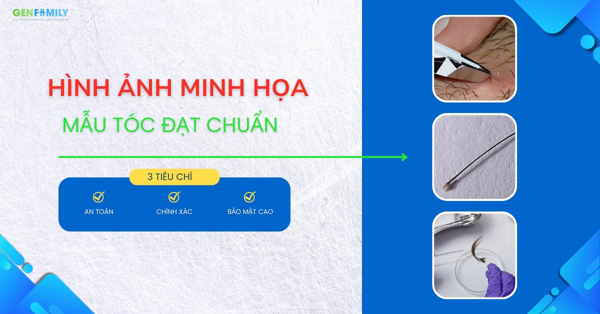 mẫu tóc làm xét nghiệm adn