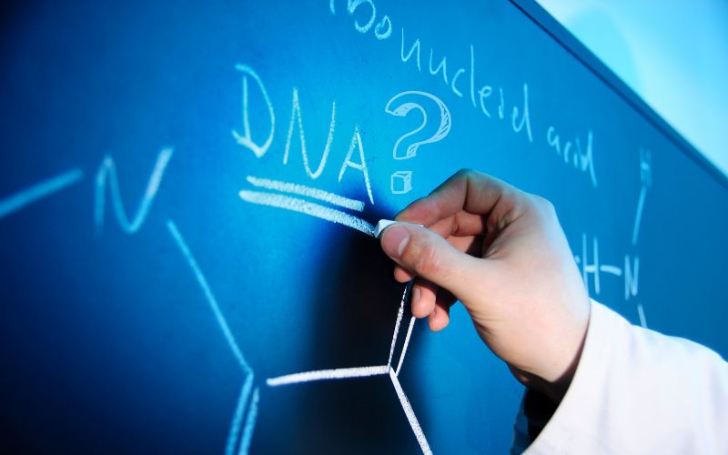 xét nghiệm ADN là gì