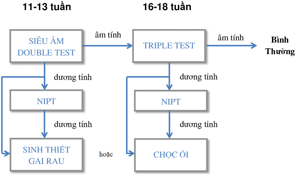 Quy trình xét nghiệm Double test Triple test