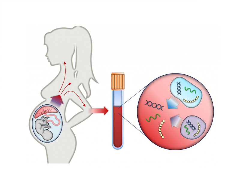 Thu mẫu xét nghiệm double test