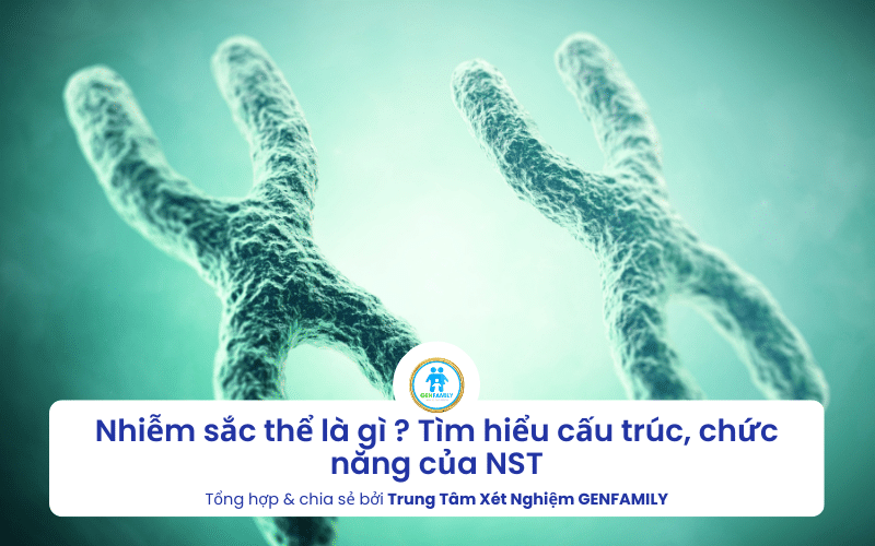 Nhiễm sắc thể là gì