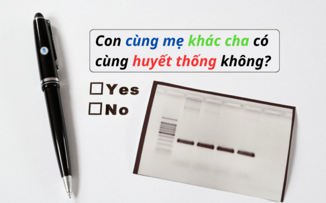 Con cùng mẹ khác cha có cùng huyết thống không?